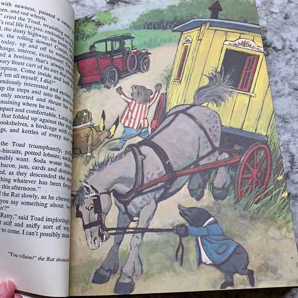 Chapter book - Picture 7 of 7